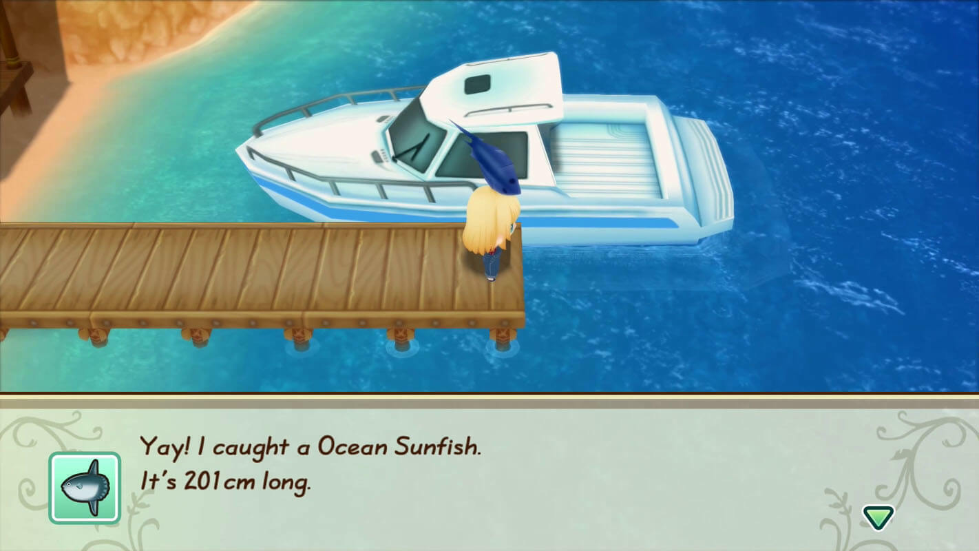 Story of seasons friends of store mineral town release date us