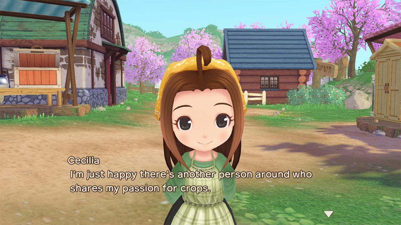 STORY OF SEASONS A Wonderful Life Marvelous French